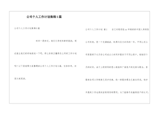公司个人工作计划集锦5篇