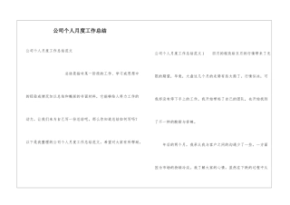 公司个人月度工作总结