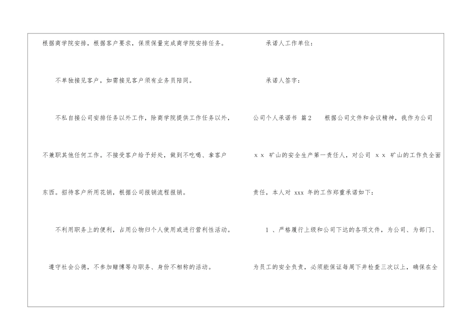 公司个人承诺书汇编9篇_第2页