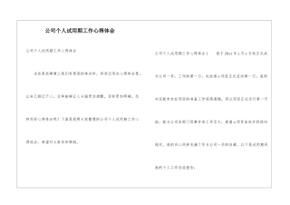 公司个人试用期工作心得体会