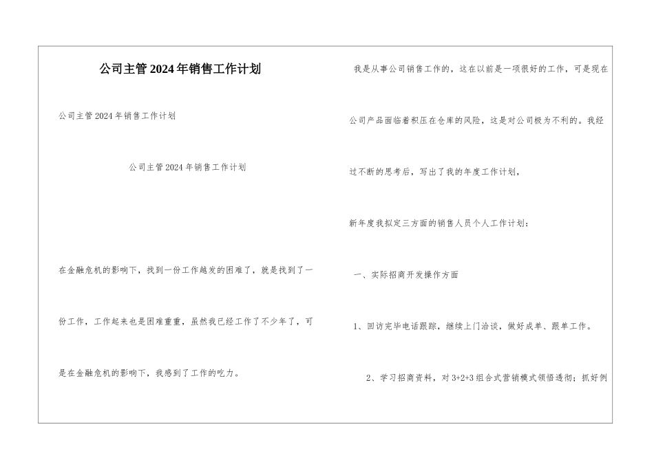 公司主管2024年销售工作计划_第1页