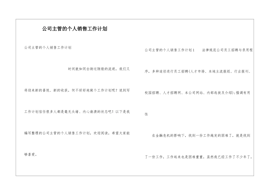 公司主管的个人销售工作计划_第1页