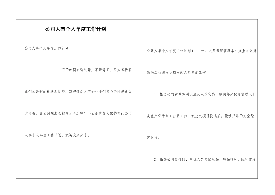 公司人事个人年度工作计划_第1页