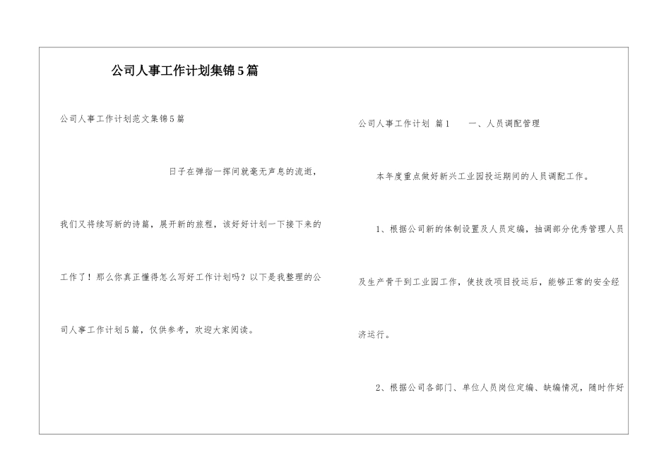 公司人事工作计划集锦5篇_第1页