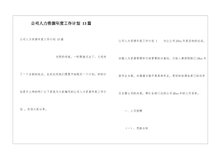 公司人力资源年度工作计划-13篇