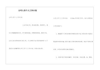 公司人员个人工作计划