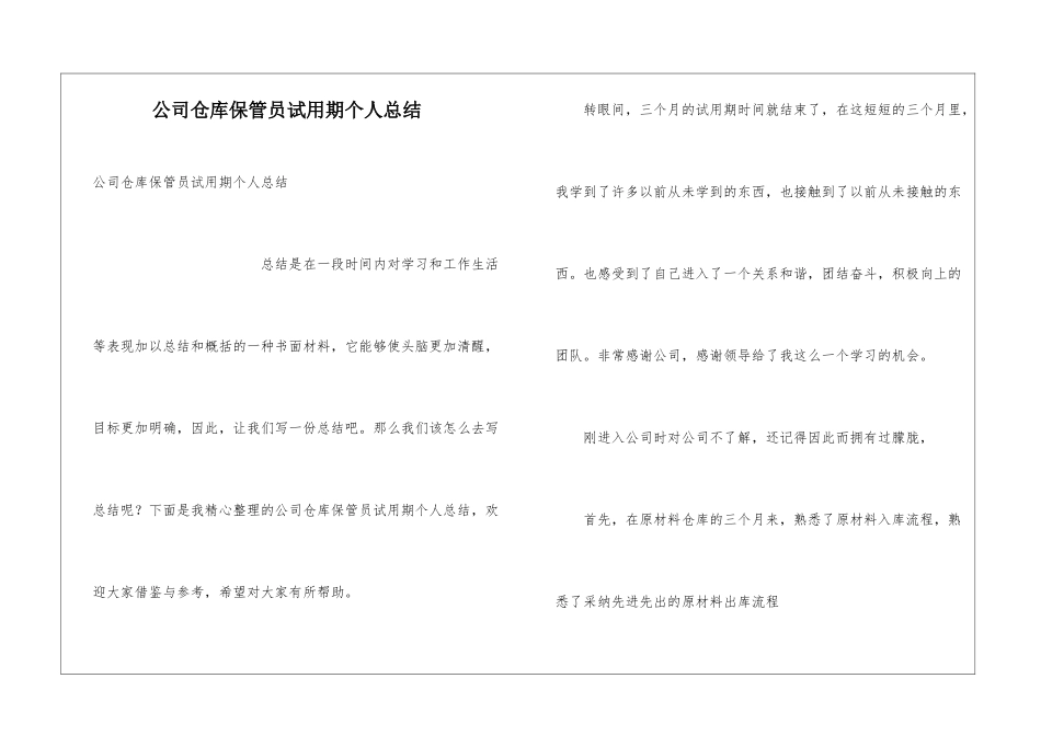公司仓库保管员试用期个人总结_第1页