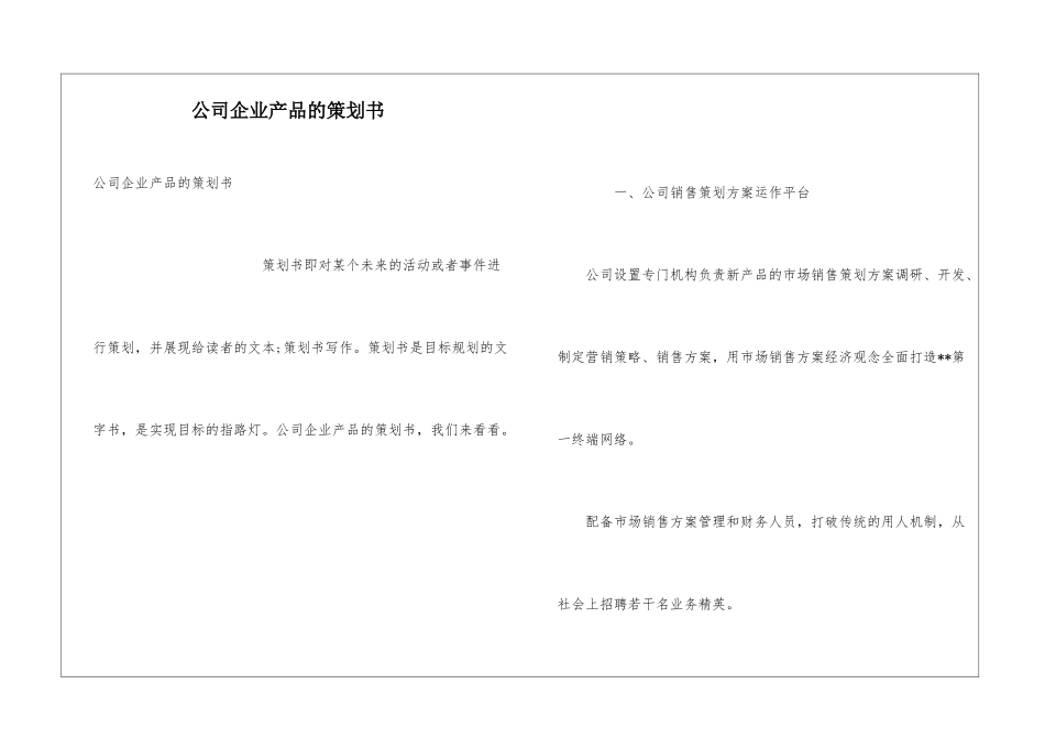公司企业产品的策划书_第1页