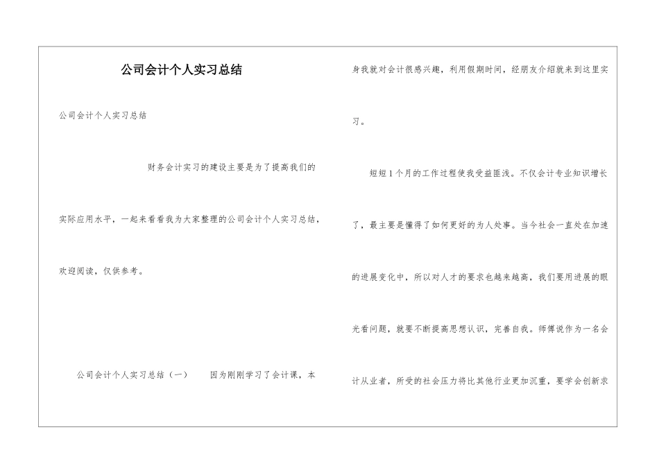 公司会计个人实习总结_第1页