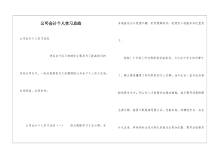 公司会计个人实习总结