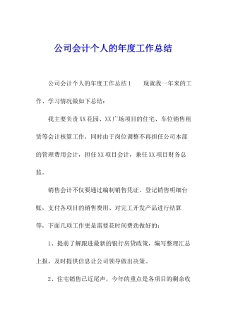 公司会计个人的年度工作总结