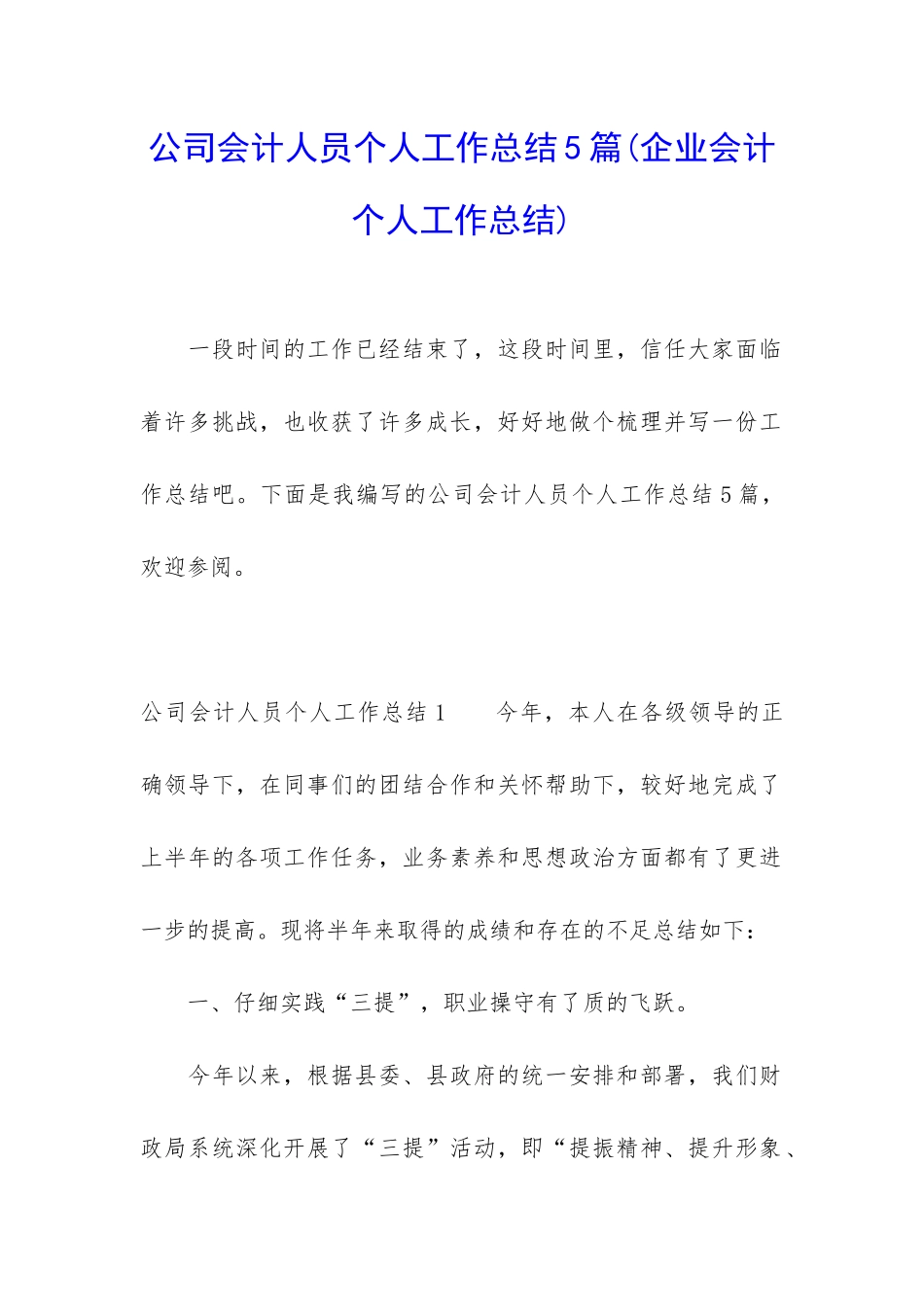 公司会计人员个人工作总结5篇_第1页