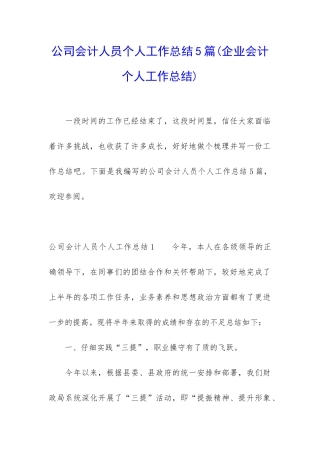 公司会计人员个人工作总结5篇