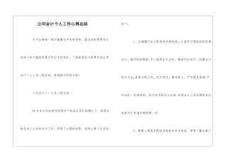 公司会计个人工作心得总结