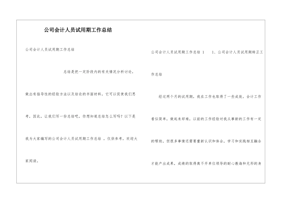 公司会计人员试用期工作总结-_第1页