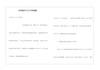 公司会计个人工作总结