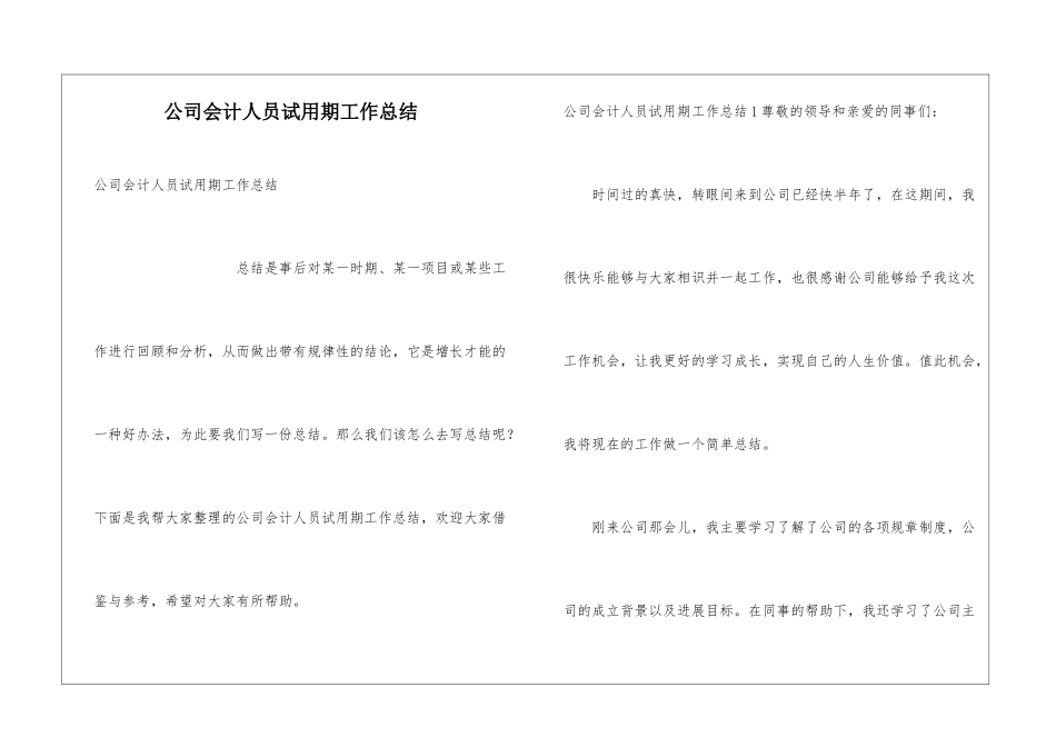 公司会计人员试用期工作总结_第1页