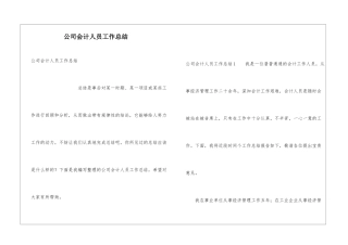 公司会计人员工作总结