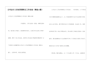 公司会计人员试用期转正工作总结(精选4篇)