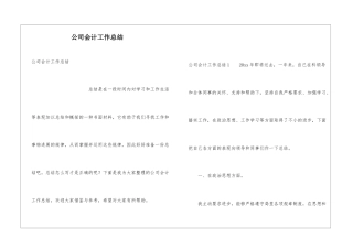 公司会计工作总结