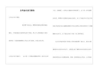 公司会计实习报告