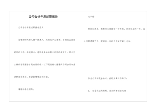 公司会计年度述职报告