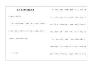 公司会计实习报告范本