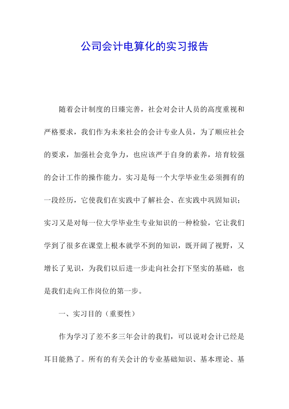 公司会计电算化的实习报告_第1页