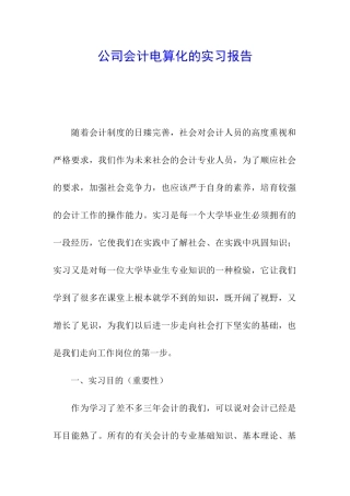 公司会计电算化的实习报告