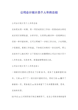 公司会计统计员个人年终总结-