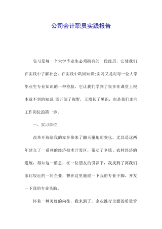 公司会计职员实践报告
