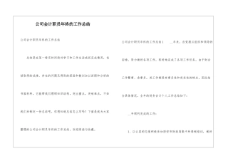 公司会计职员年终的工作总结