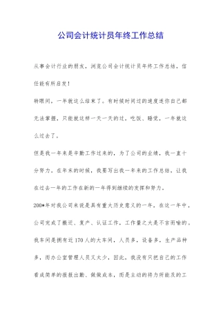 公司会计统计员年终工作总结-