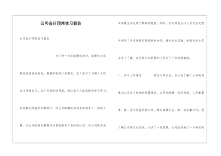 公司会计顶岗实习报告