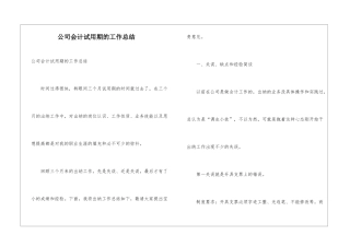 公司会计试用期的工作总结