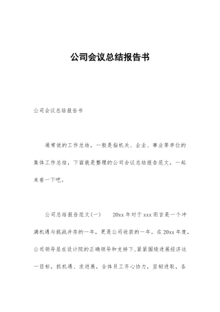 公司会议总结报告书