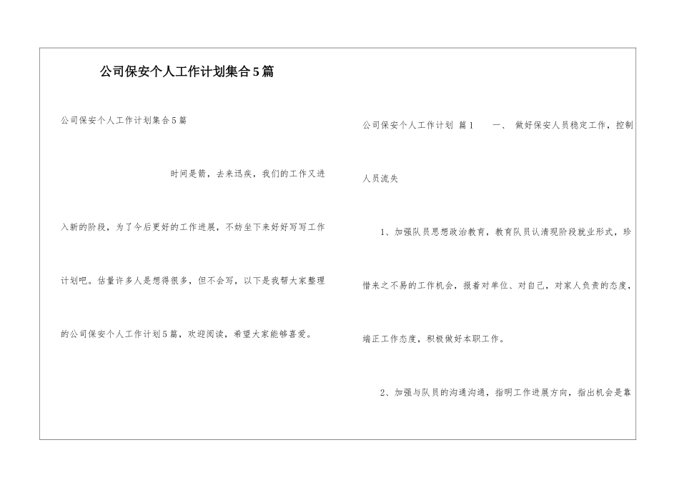 公司保安个人工作计划集合5篇_第1页