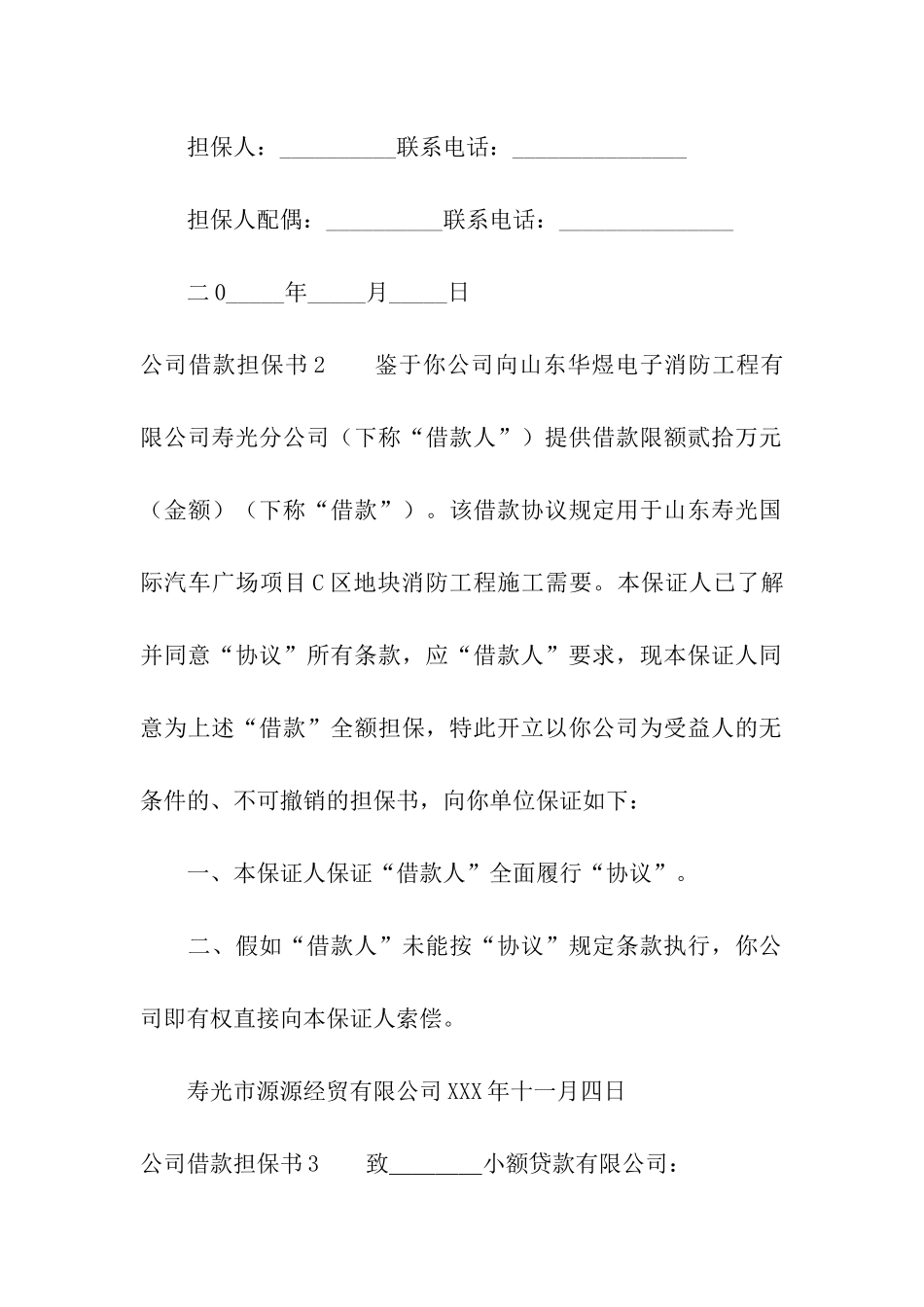 公司借款担保书6篇_第3页