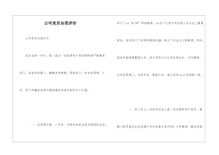 公司党员自我评价
