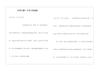 公司入职一个月工作总结