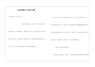 公司出纳个人实习心得