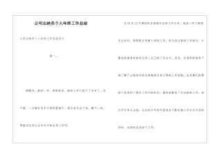 公司出纳员个人年终工作总结