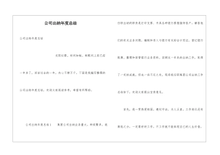 公司出纳年度总结