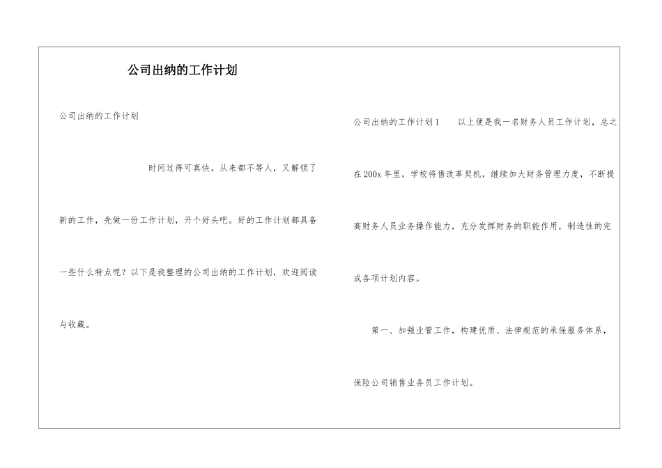 公司出纳的工作计划_第1页