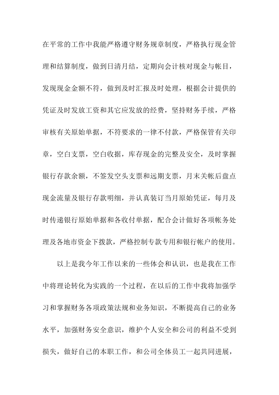 公司出纳年终工作总结通用15篇_第2页