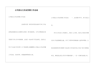公司前台文员试用期工作总结