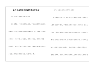 公司办公室文员的试用期工作总结