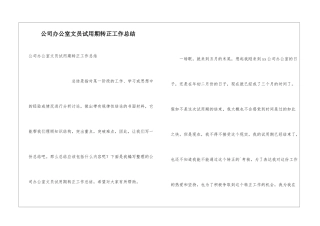 公司办公室文员试用期转正工作总结