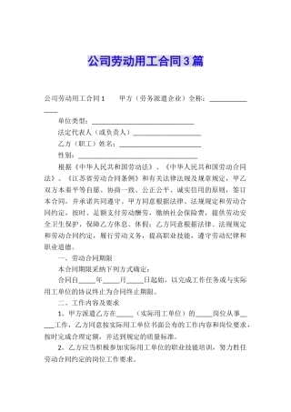 公司劳动用工合同3篇