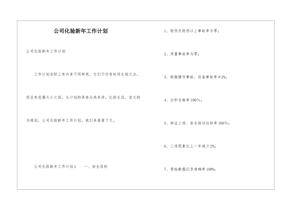 公司化验新年工作计划_第1页